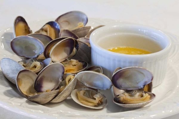 WA, Puget Sound Manila clams and butter sauce